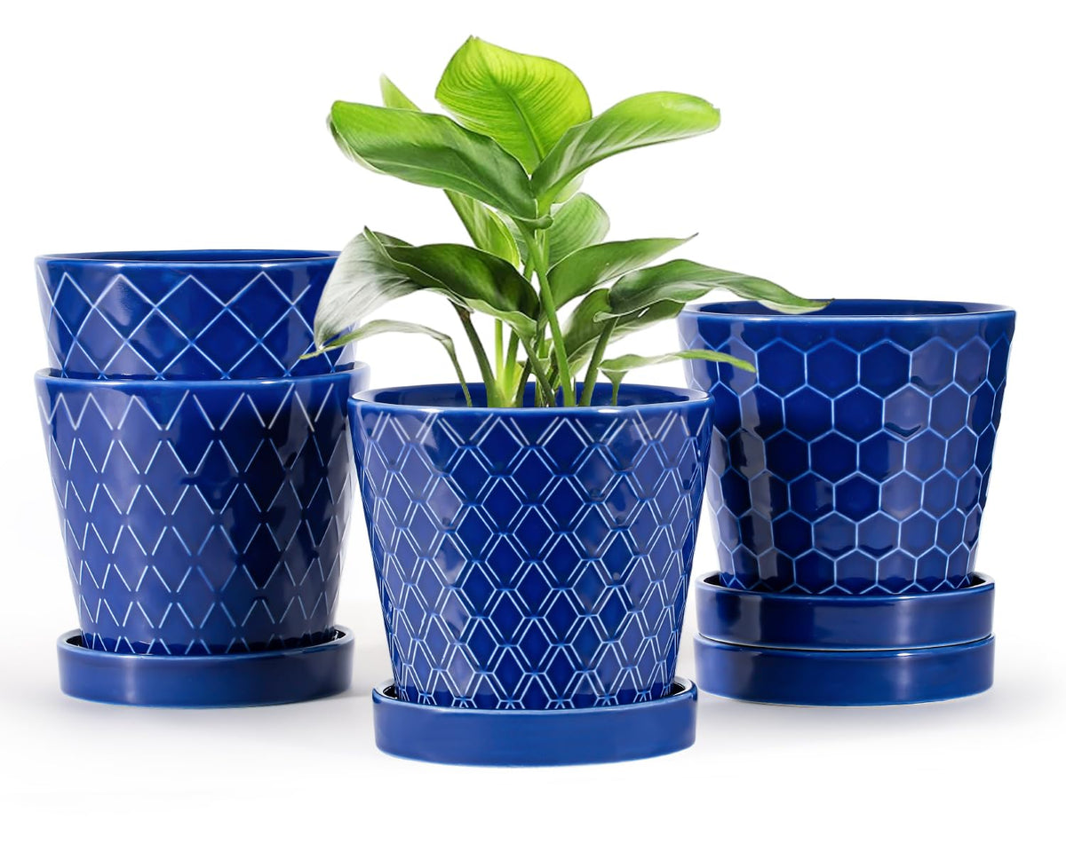 EFISPSS blue cone-striped ceramic pot enhances indoor plant display