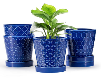 EFISPSS blue cone-striped ceramic pot enhances indoor plant display