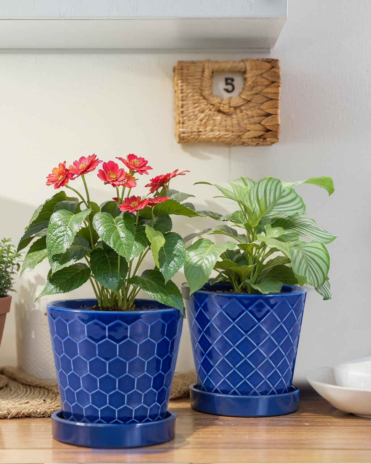 EFISPSS pot with peace lilies for bright home setup