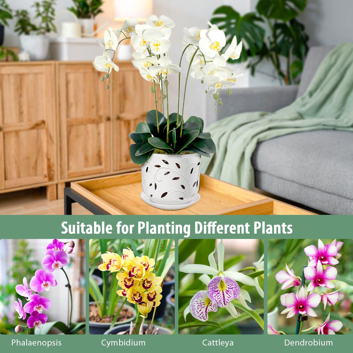 EFISPSS durable ceramic pot for indoor or outdoor orchid care