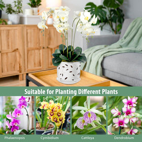 EFISPSS durable ceramic pot for indoor or outdoor orchid care