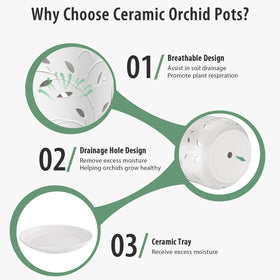 EFISPSS orchid pot with leaf-cutouts enhances decor while improving airflow