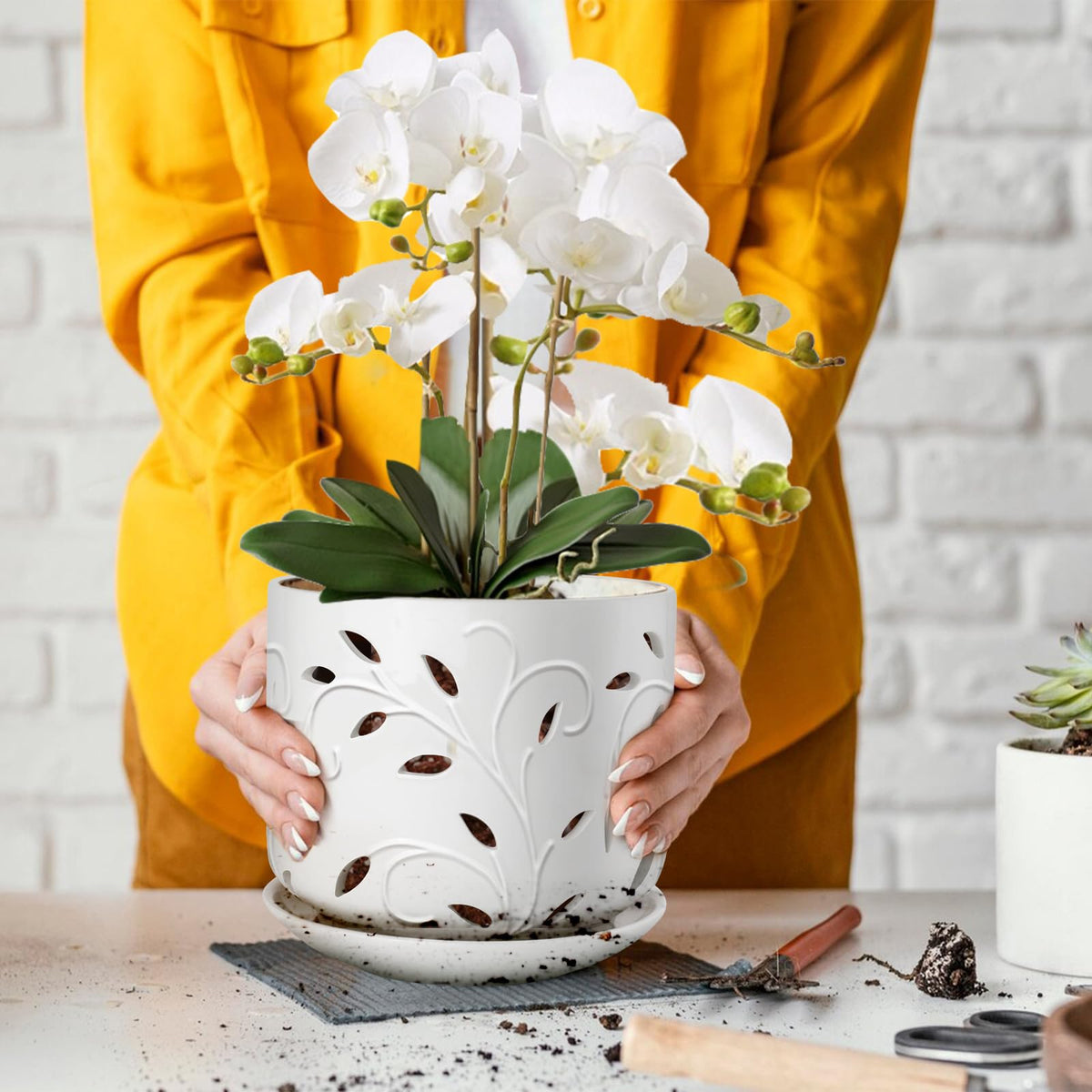 EFISPSS quality ceramic orchid pot crafted for healthy roots and vibrant blooms