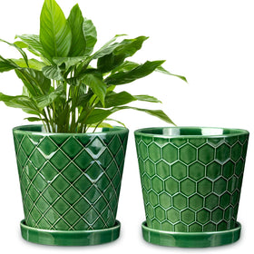 EFISPSS 6 inch plant pot with drainage holes for healthy root growth.