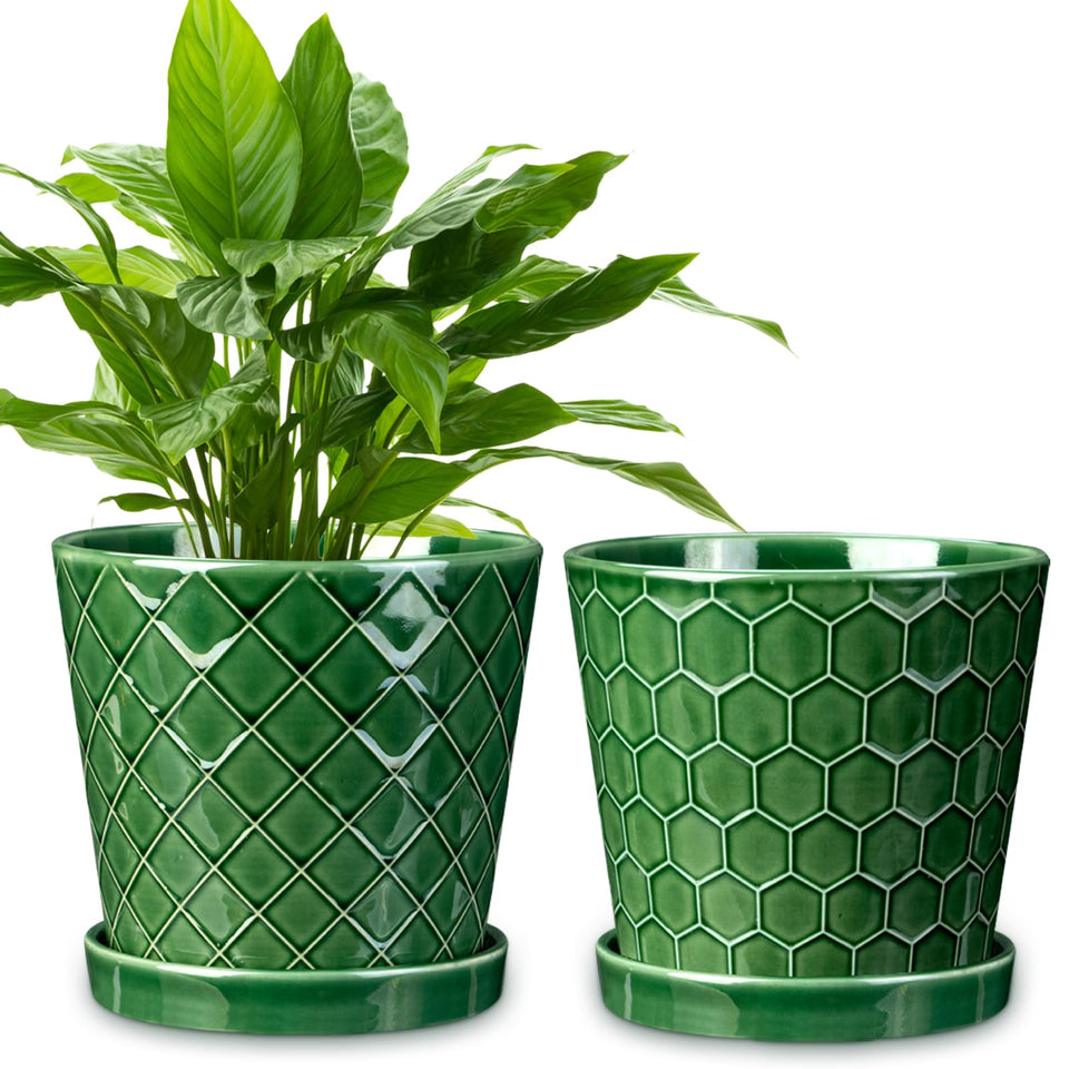 EFISPSS 6 inch plant pot with drainage holes for healthy root growth.