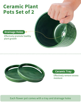 EFISPSS 6 inch pot with saucer keeps surfaces clean and organized.