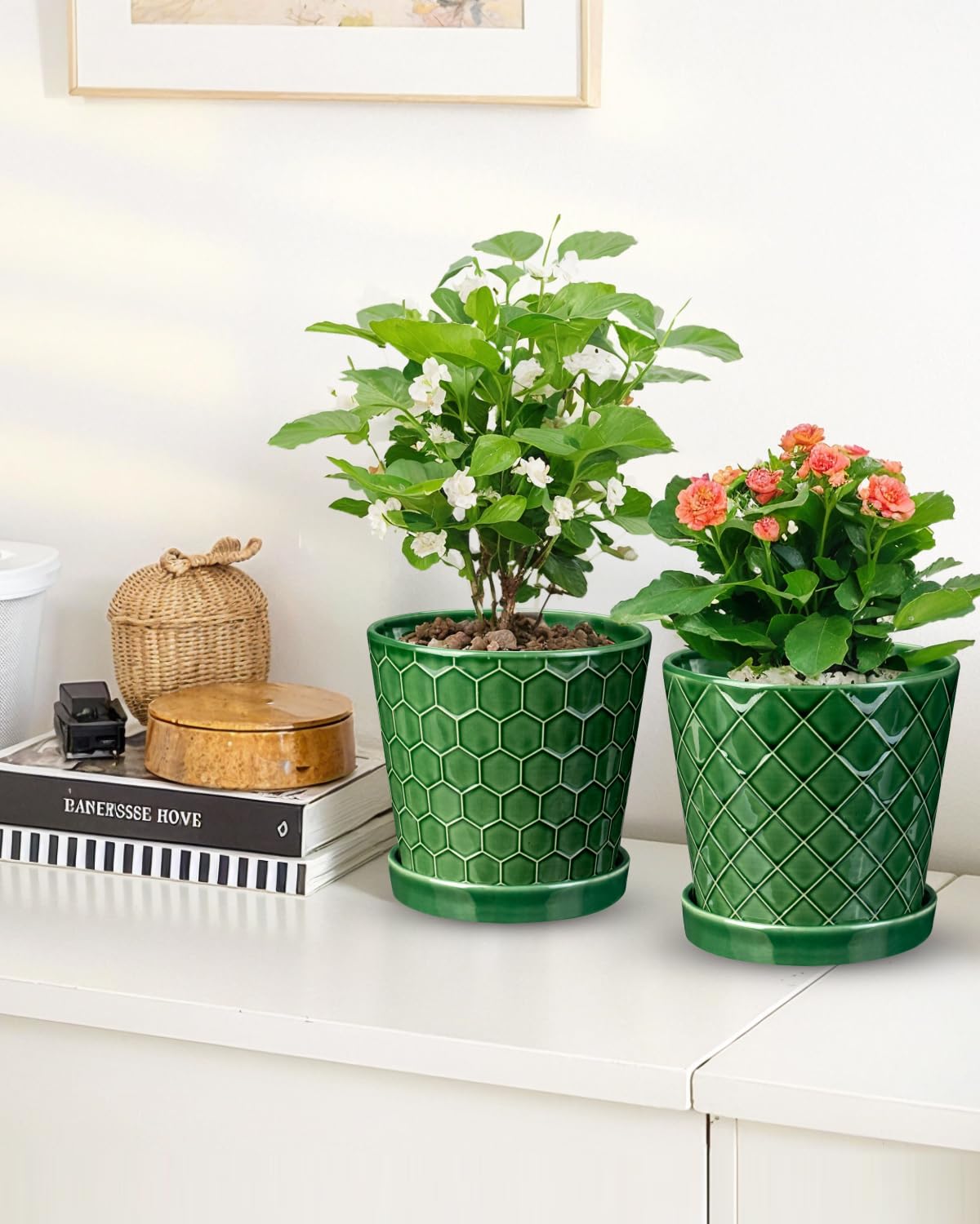 EFISPSS modern conical design suits small to medium plants.
