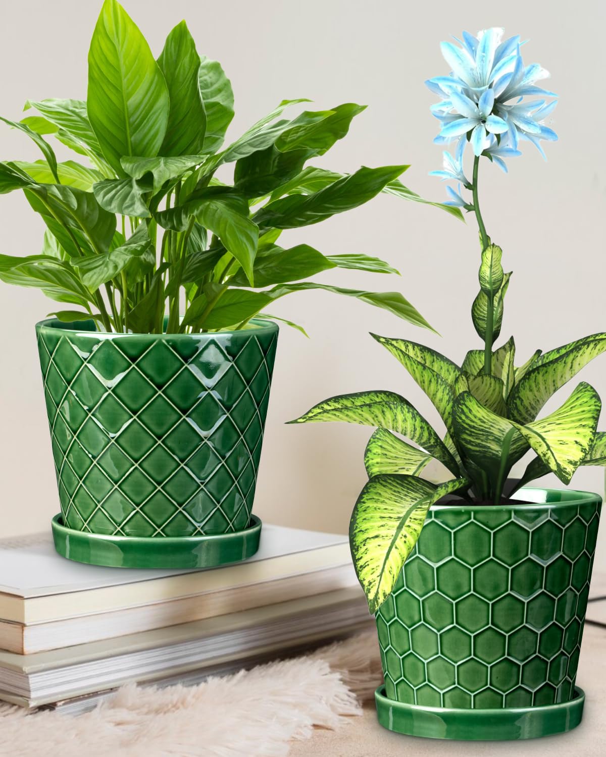 EFISPSS two-pot set ideal for herbs or succulents.
