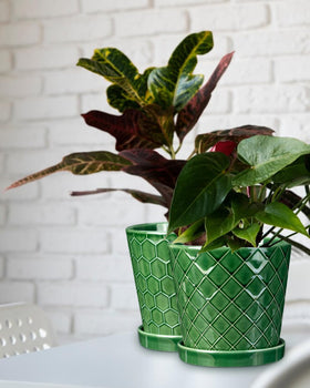 EFISPSS durable ceramic withstands outdoor use under mild conditions.