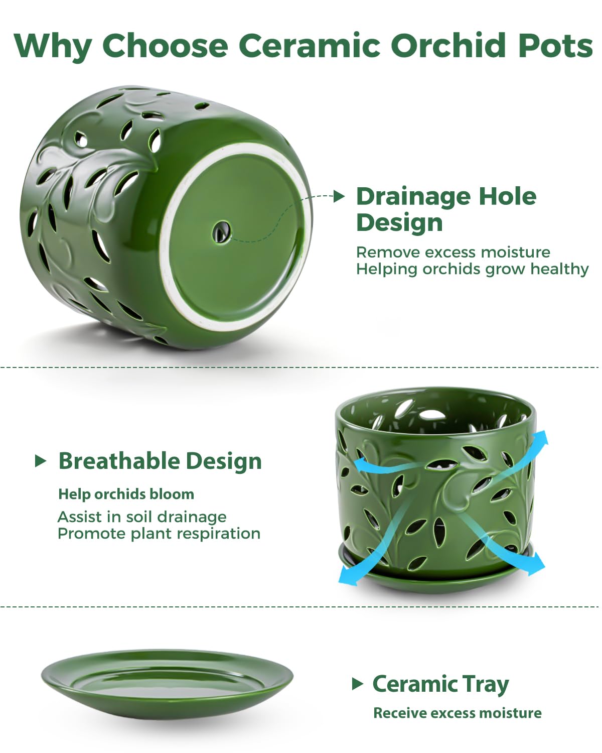 EFISPSS ceramic pot sized 5-6 inch for compact orchid setups