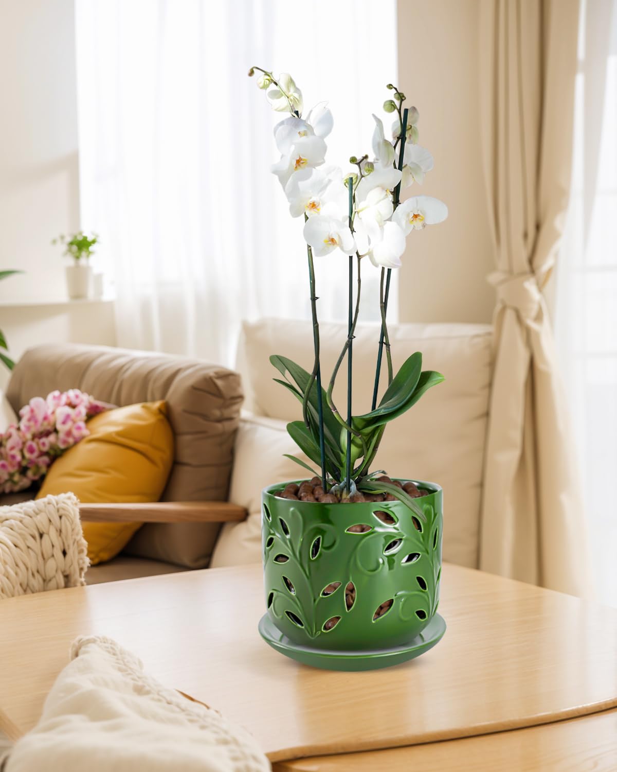 EFISPSS indoor/outdoor orchid pot suitable for patios or windowsills