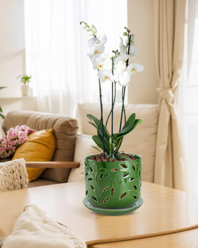 EFISPSS indoor/outdoor orchid pot suitable for patios or windowsills