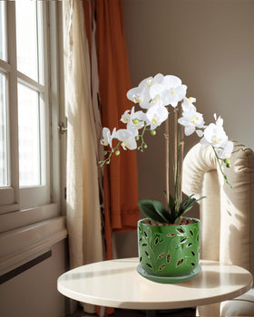 EFISPSS orchid pot with saucer showing practical drainage