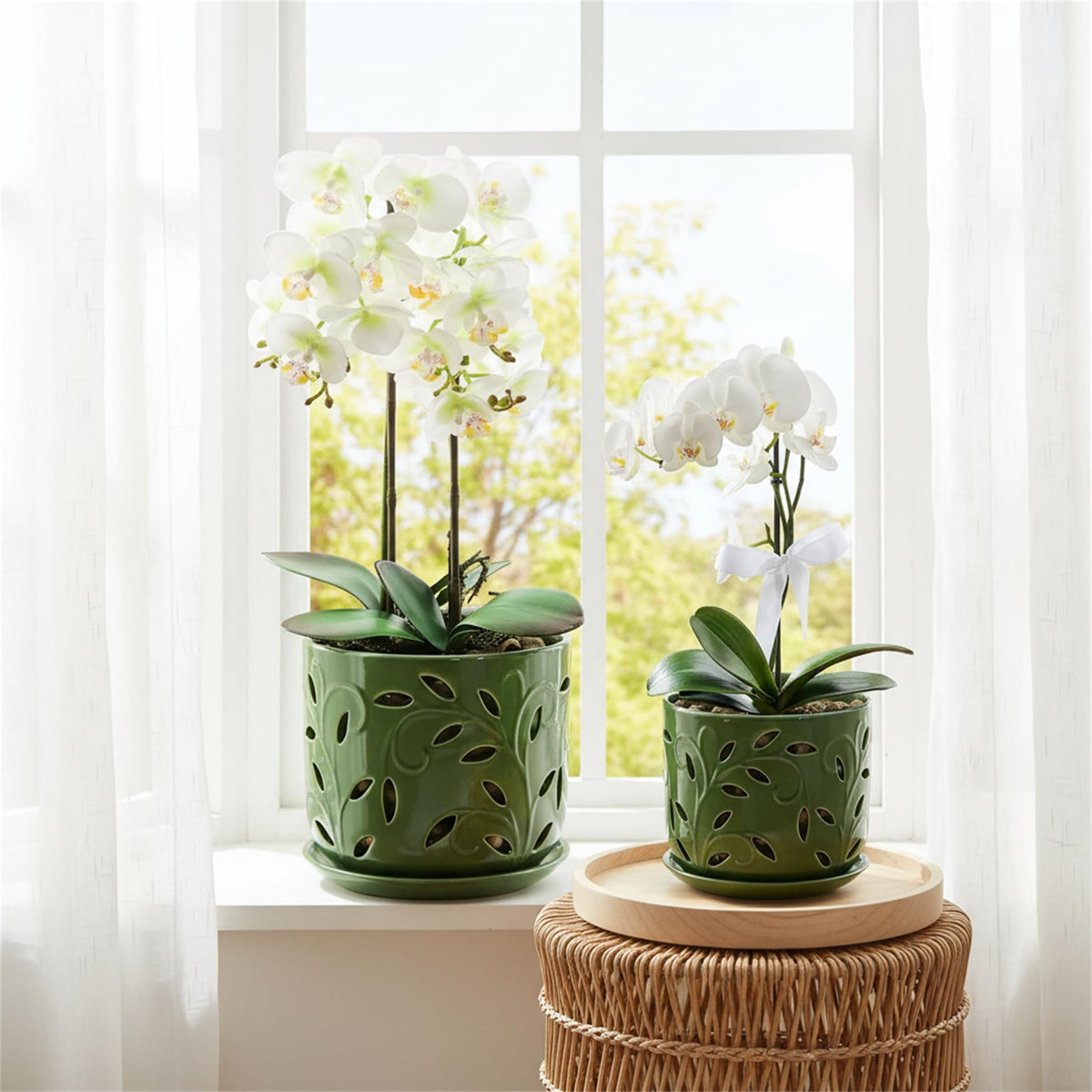 EFISPSS ventilated orchid pot supports healthy growth and decor