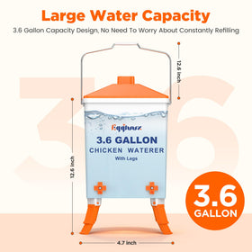 Eggluuz waterer installed in a coop setup for tidy water access
