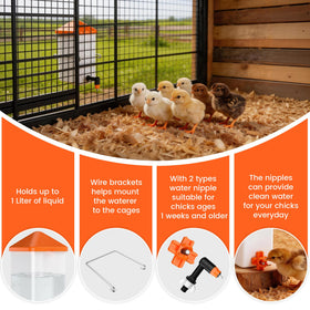 Eggluuz anti-roost cone lid keeps the waterer clean by preventing roosting.
