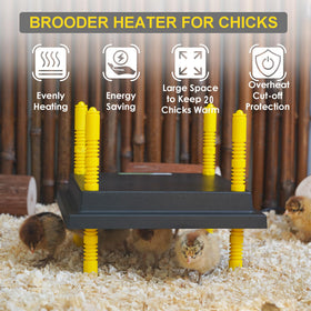 Eggluuz brooder plate with adjustable height for chick comfort.