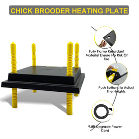 Eggluuz chick brooder plate cord-length 9.8 ft for flexible placement.