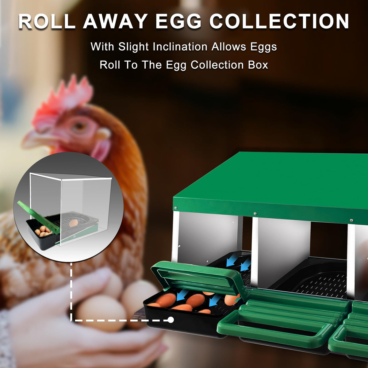 Eggluuz chicken nesting box green inclined design guides eggs to the tray.