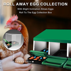 Eggluuz chicken nesting box green inclined design guides eggs to the tray.