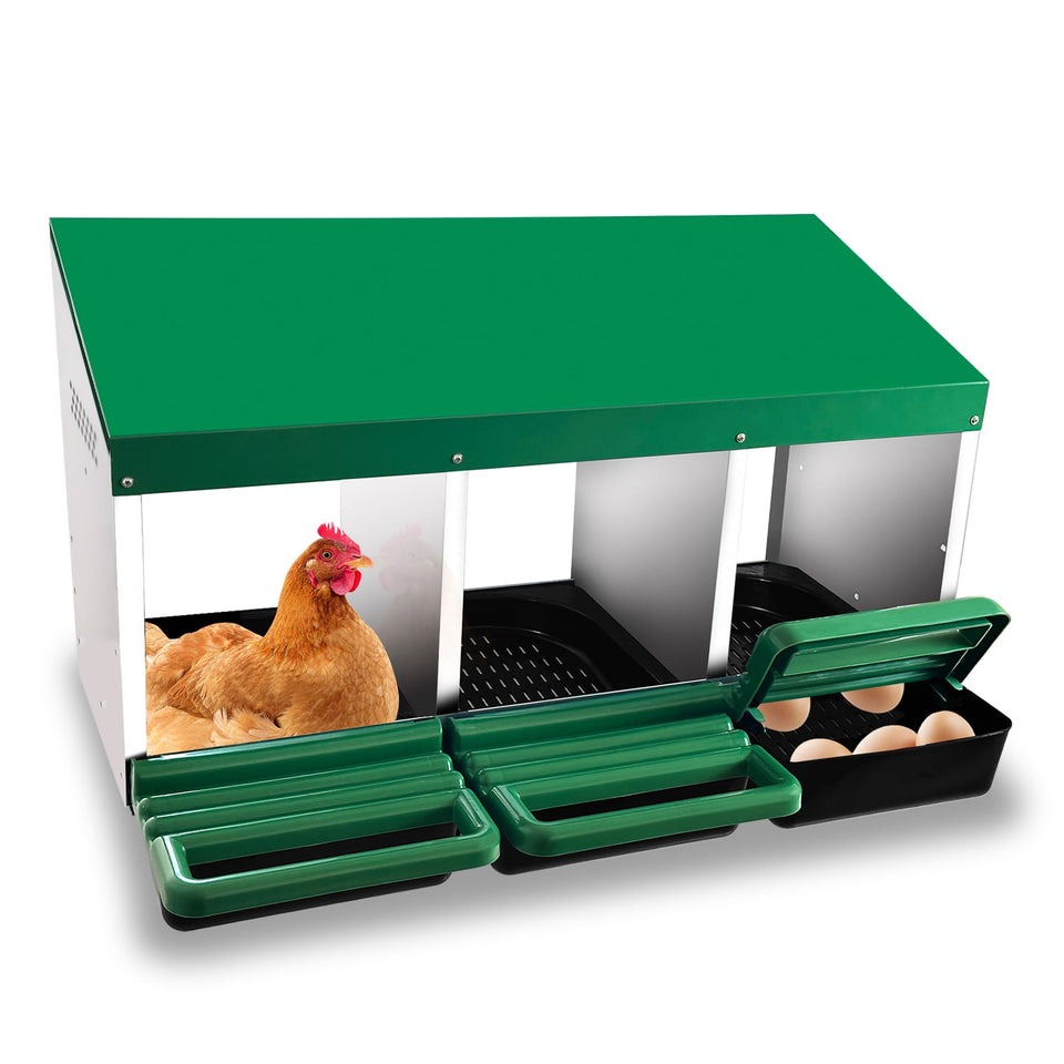 Eggluuz chicken nesting box green front view shows three compartments for hens.