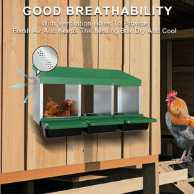 Eggluuz chicken nesting box green galvanized roof and sides for lasting durability.