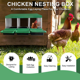 Eggluuz chicken nesting box green side view highlighting durable galvanized roof.