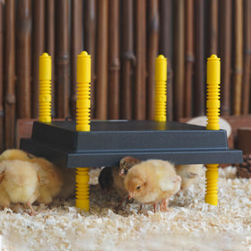 Eggluuz safety features include auto shut-off on voltage issues.