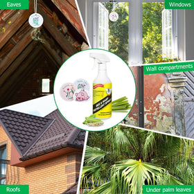 Eglagen patio and garden scene illustrating outdoor protection against wasp and bee visits.