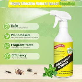 Eglagen peppermint oil spray mist disperses quickly to deter pests.