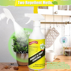 Eglagen spider and ant deterrent peppermint spray for common pests.
