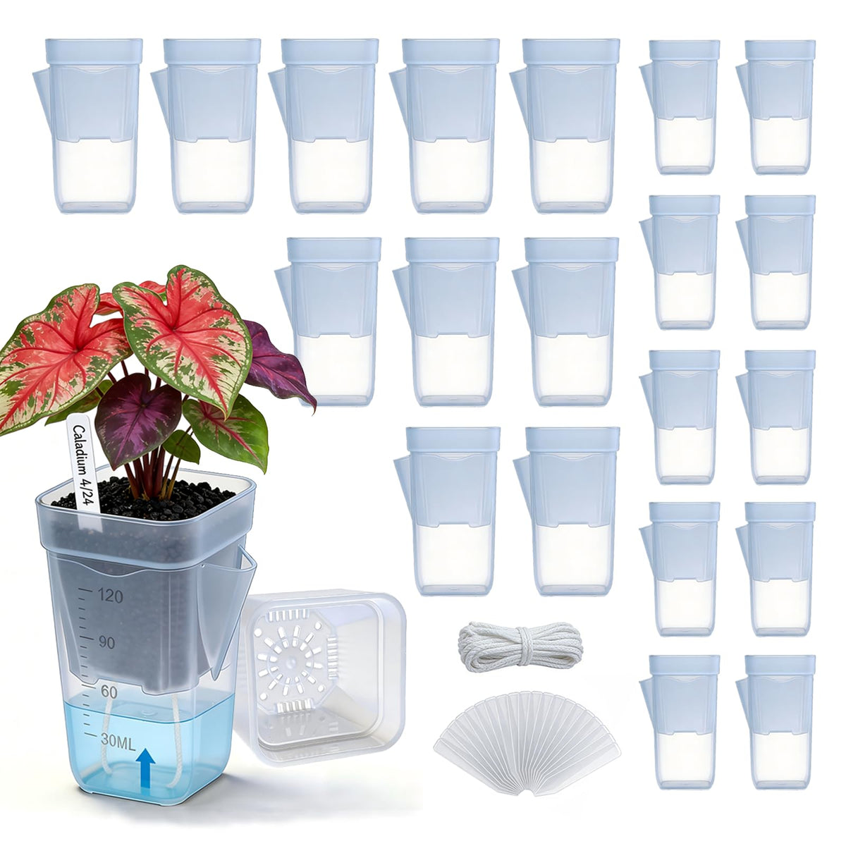 Eichopmen 20-pack self-watering pots in 2-inch size for seedling propagation and easy care.