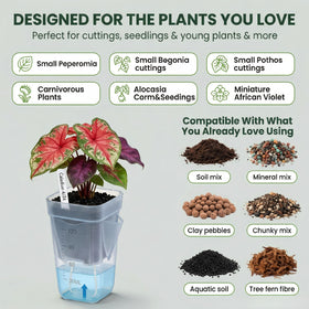 Eichopmen inner pot with drainage holes promotes airflow and healthy root development.