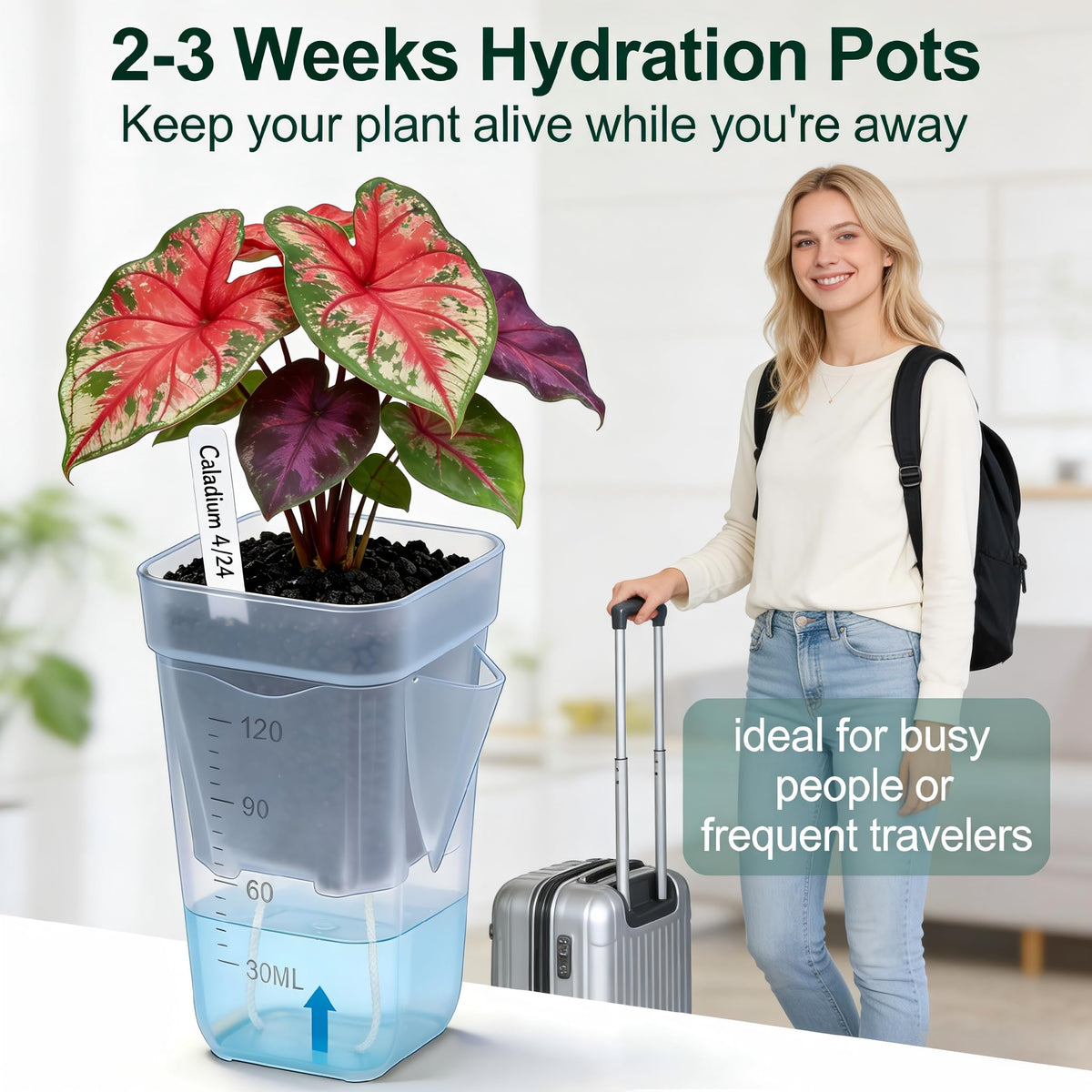 Eichopmen self-watering wick system provides steady moisture for busy plant parents.