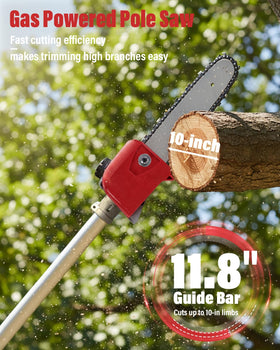 EIDOWA pole saw in action pruning branches safely from the ground.