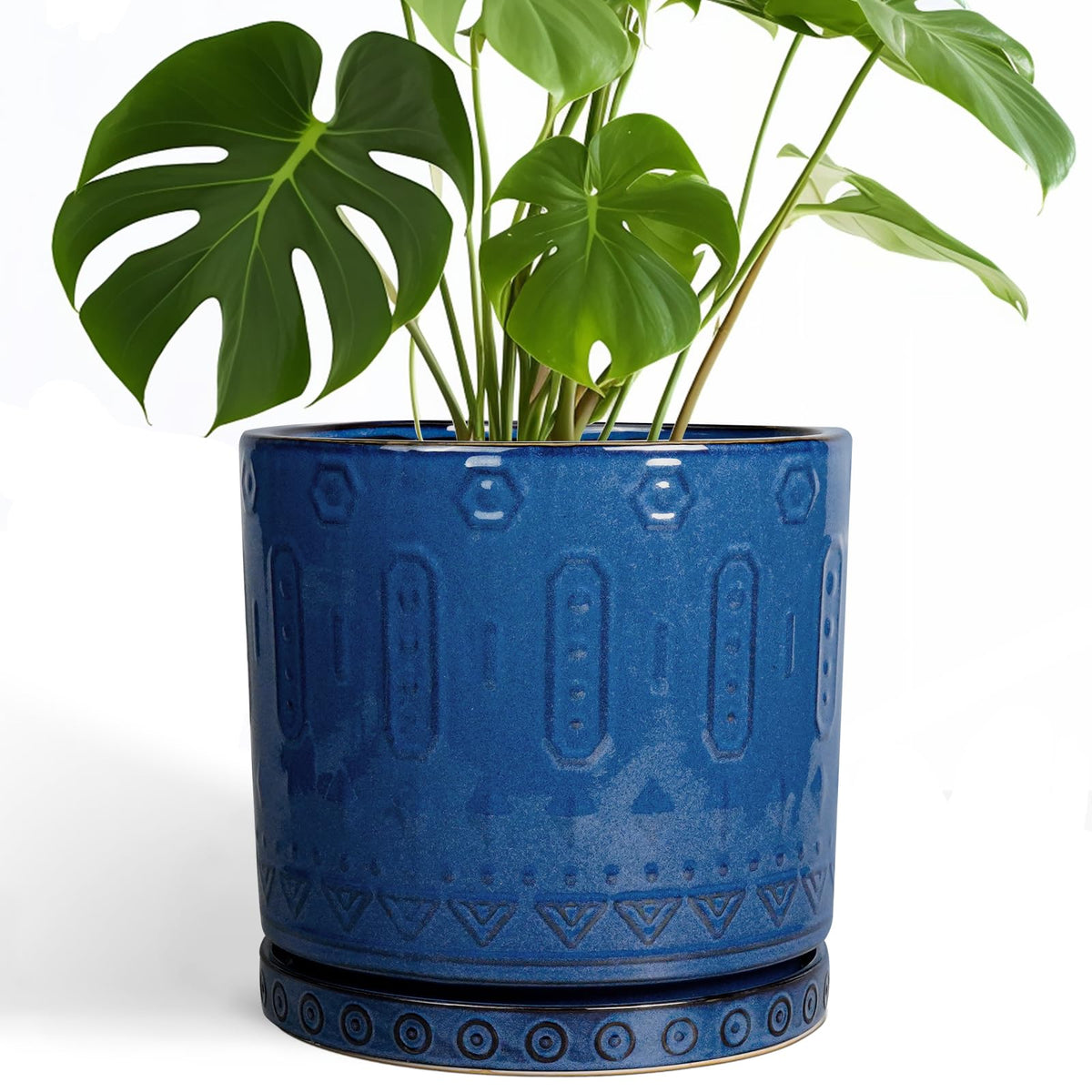Eightpot blue ceramic 10-inch planter adds color and style to indoor spaces.