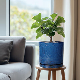 Eightpot blue ceramic plant saucer with geometric pattern enhances décor while guiding water away from pots.