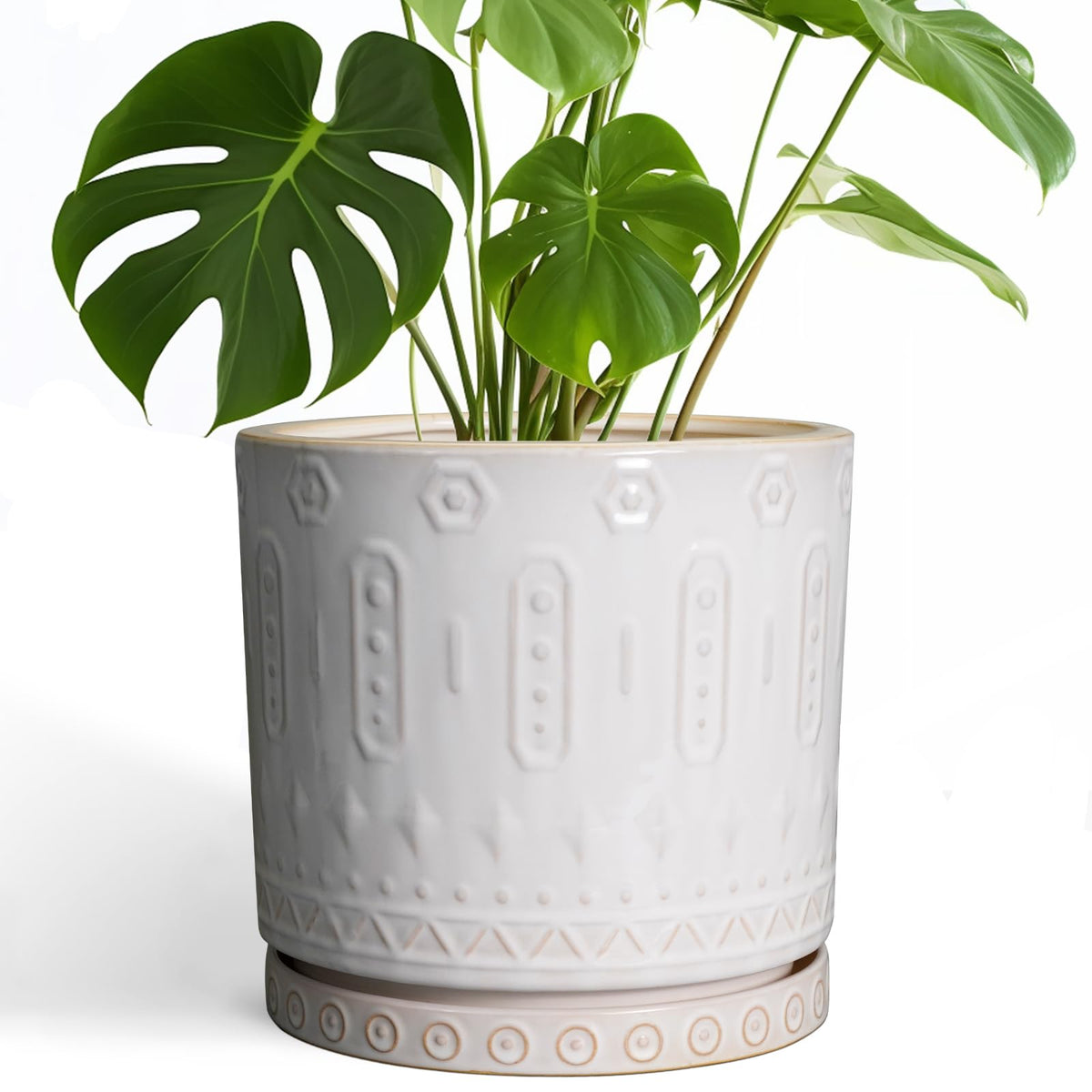 Eightpot 10in ceramic planter front view in white for modern spaces.