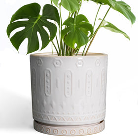 Eightpot 10in ceramic planter front view in white for modern spaces.