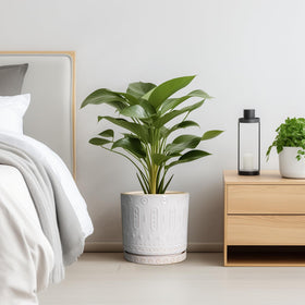 Eightpot 10in planter placed in a stylish living room setup.