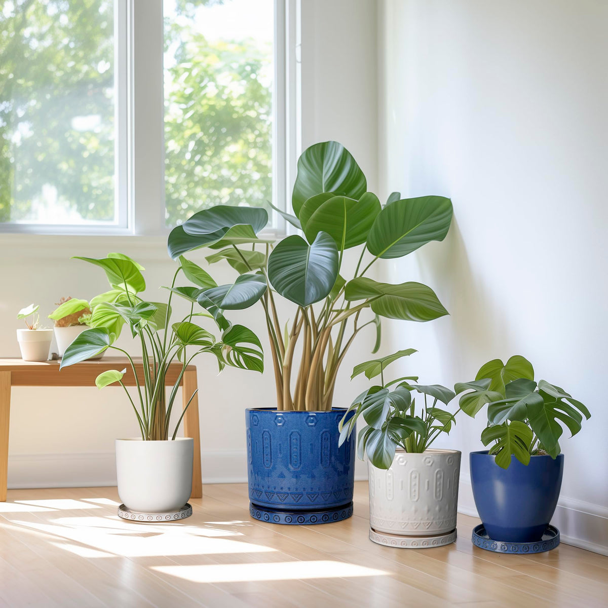 Eightpot plant tray features 1 inch depth for catching excess moisture.