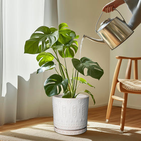 Eightpot ceramic saucer cream white, indoor-outdoor use, adds stylish moisture control.