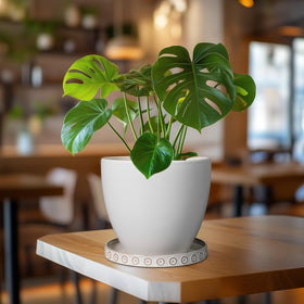 Eightpot cream-white saucer protects surfaces with sturdy design.