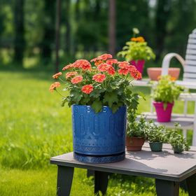 Eightpot drainage holes and saucer help manage water and prevent spills.