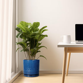 Eightpot durable ceramic construction promises long-term enjoyment in patios and living areas.