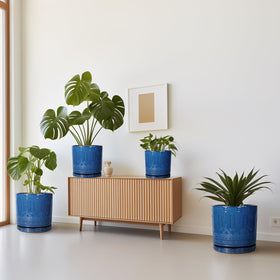 Eightpot garden-patio-decor adds curb appeal to outdoor spaces.