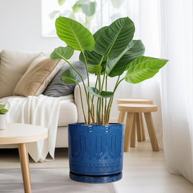 Eightpot indoor-outdoor planter withstands daily use in any space.