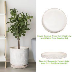 Eightpot ceramic tray fits pot bases from 4 to 6 inches.