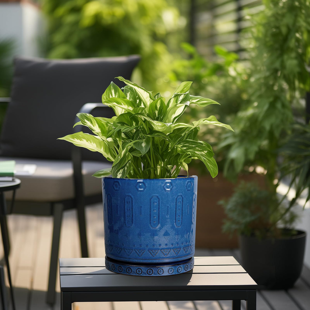 Eightpot versatile-plant-options suits a wide range of plant types.