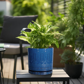 Eightpot versatile-plant-options suits a wide range of plant types.
